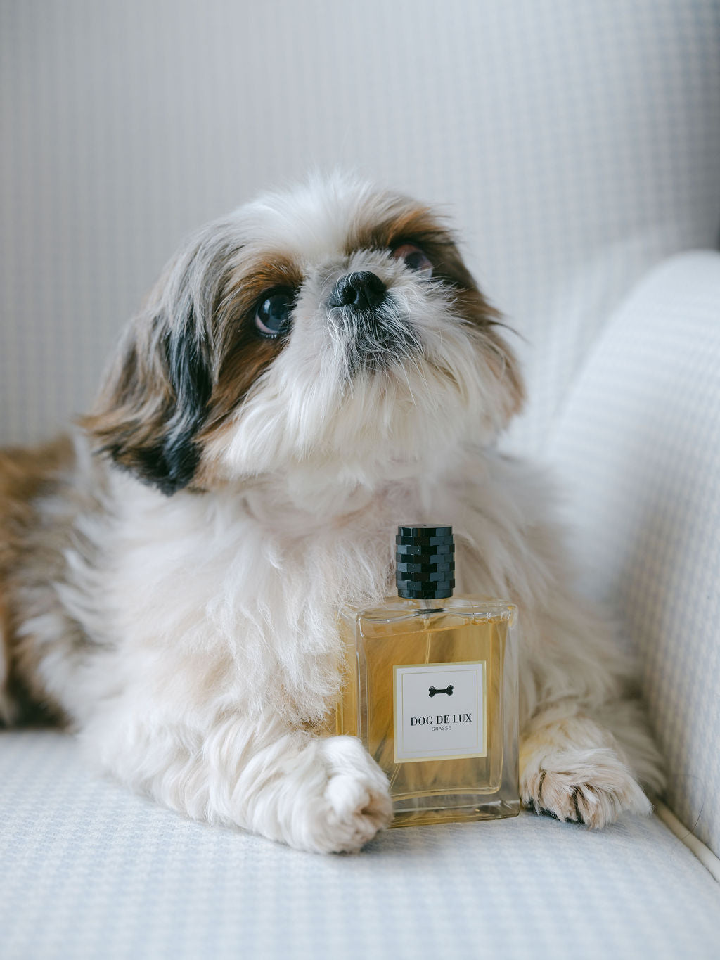 Parfum Dog de Lux - 100 ml