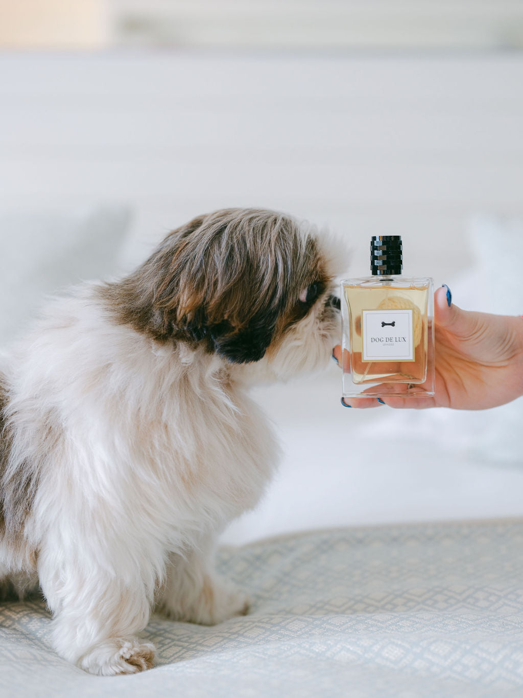 Parfum Dog de Lux - 100 ml